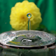 Image for article titled Shooting Challenge: Water Drop Gallery Part 3